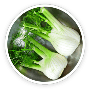 Prime Biome Ingredient 4